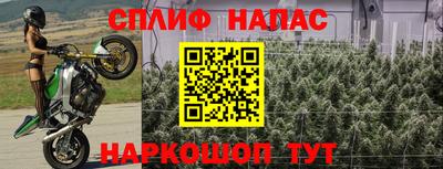 mdpv Ижевск