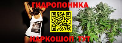 mdpv Ижевск
