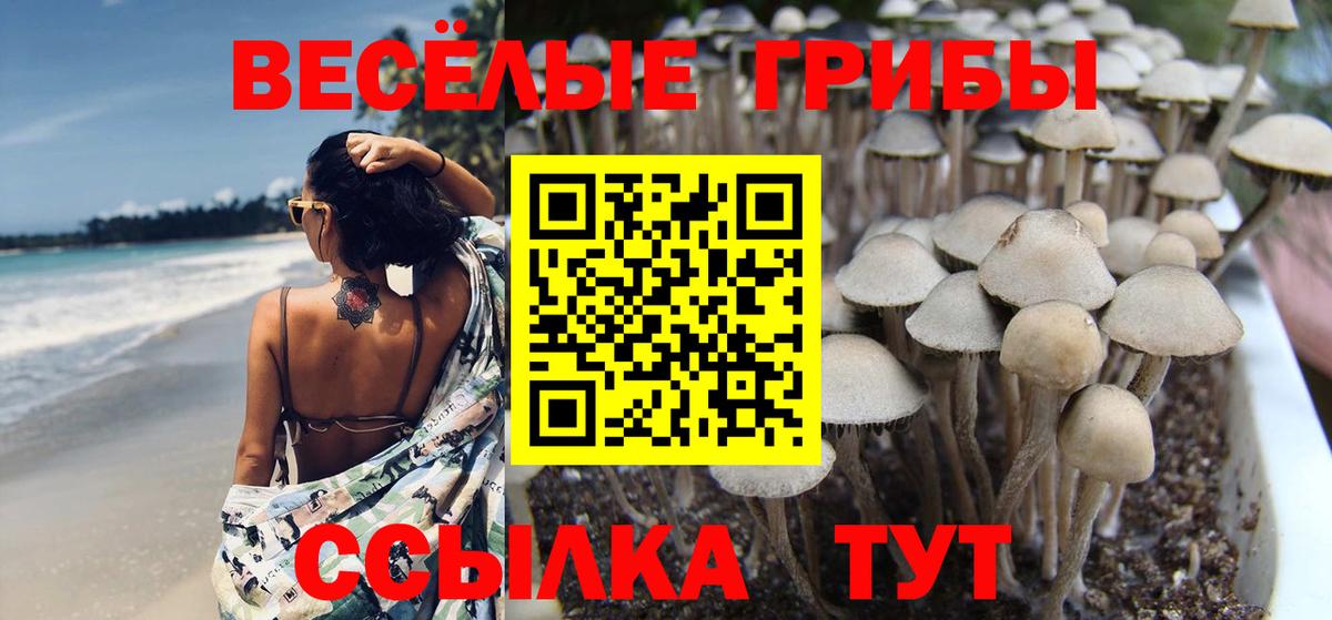 Галлюциногенные грибы мицелий  Вход с VPN  Галлюциногенные грибы ЛСД  Воткинск 
